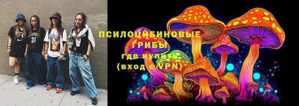 герыч Бронницы